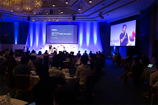 PICTURE LIBRARY(2019)-2